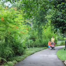 Singapore Botanic Gardens
