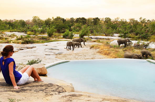 Londolozi Private Game Reserve